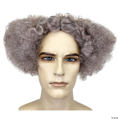 Adults Gray Mad Scientist Wig
