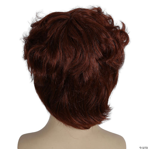 Mens Shaggy Wig | Auburn