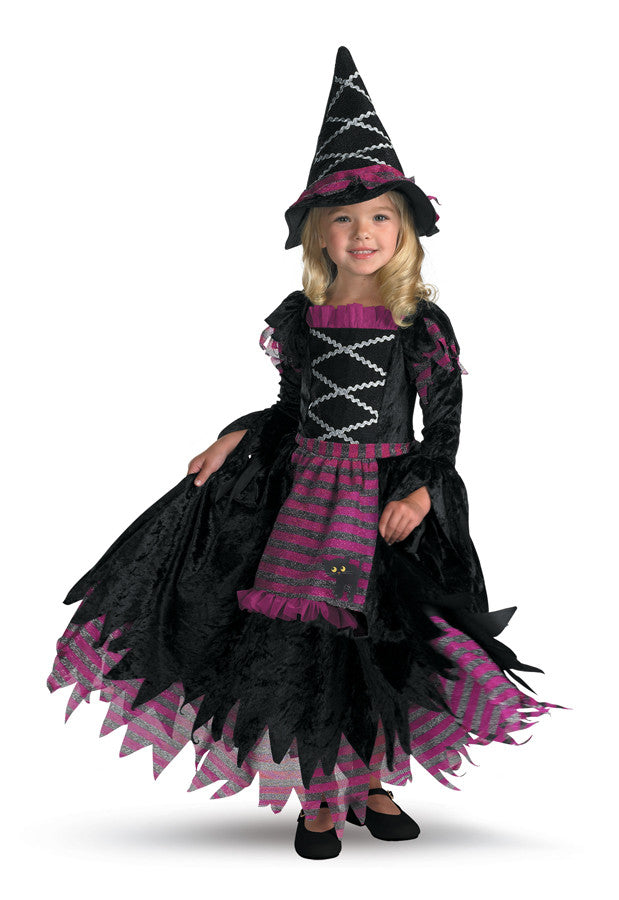 Toddler Girls Fairy Tale Witch Gown Costume