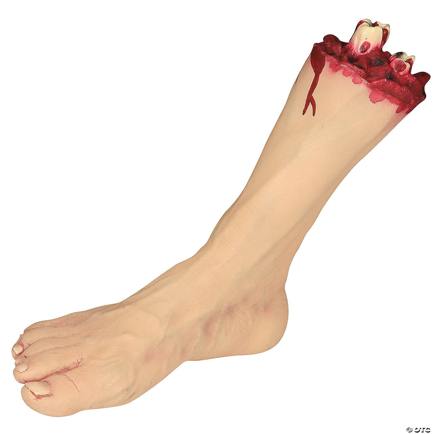 Severed Foot