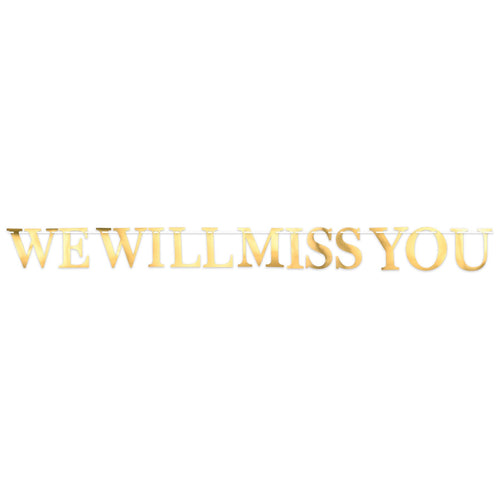 Beistle Foil We Will Miss You Streamer - General Occasion | Party Supply