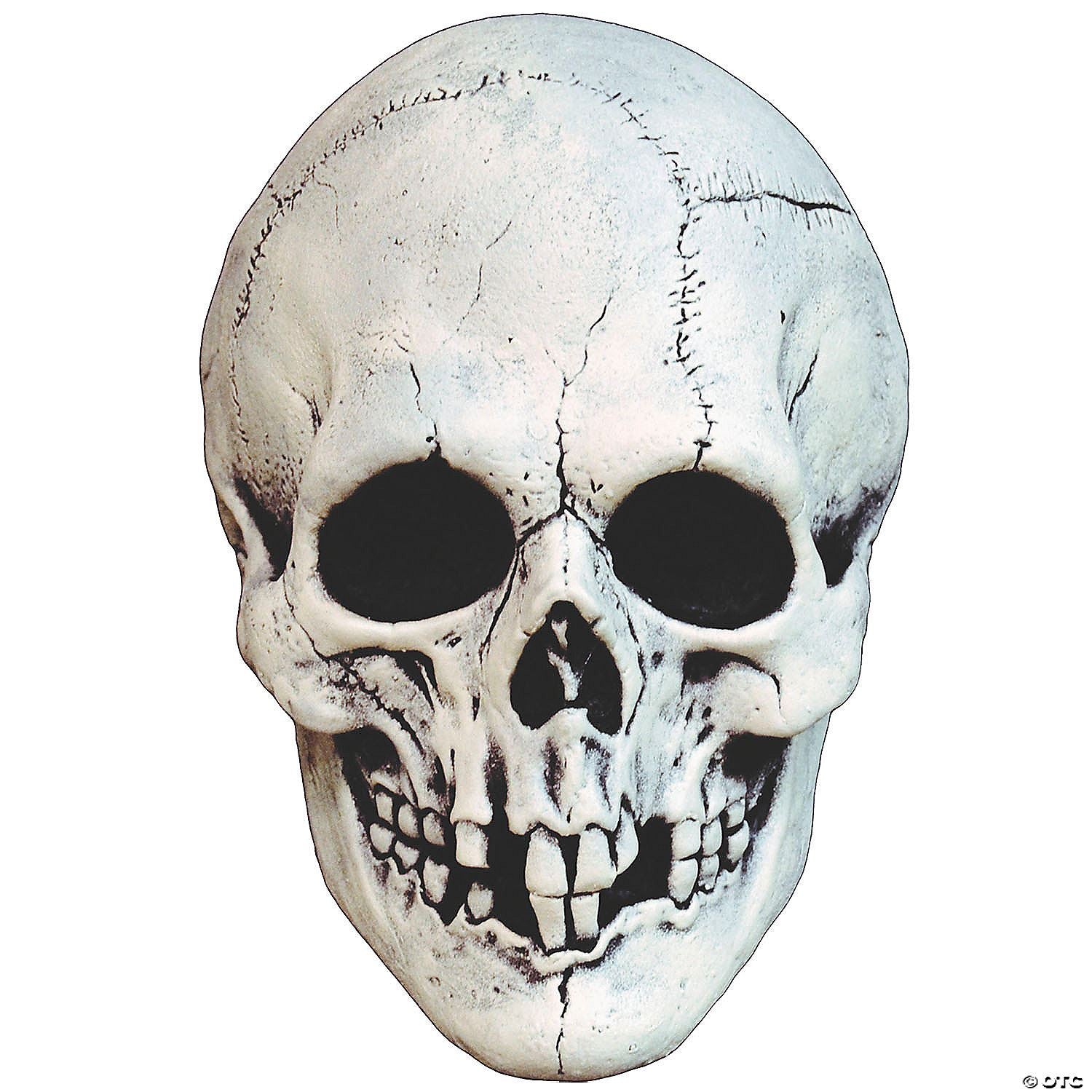 Adults White Night Owl Skull Plastic Overhead Mask