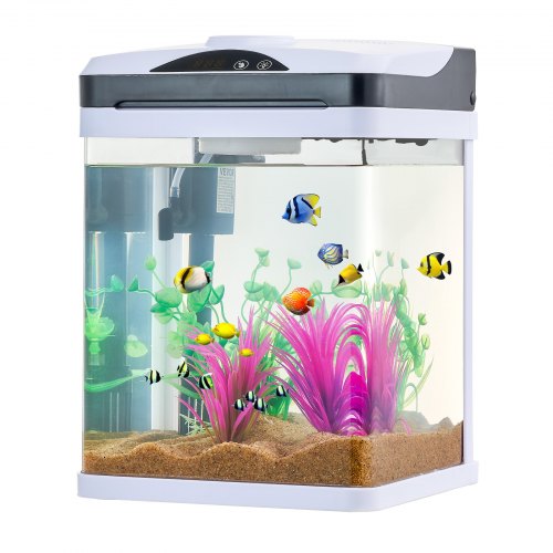 Fish Tank Aquarium 2 Gallon LED Square UltraClear Glass Tank Temperature