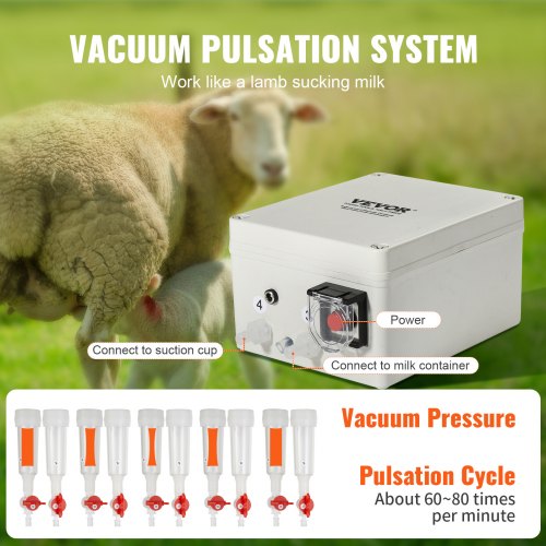 Goat Milking Machine 3 L 304 Stainless Steel Bucket Electric Automatic