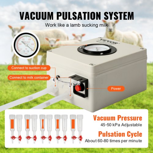 Goat Milking Machine 6 L 304 Stainless Steel Bucket Electric Automatic