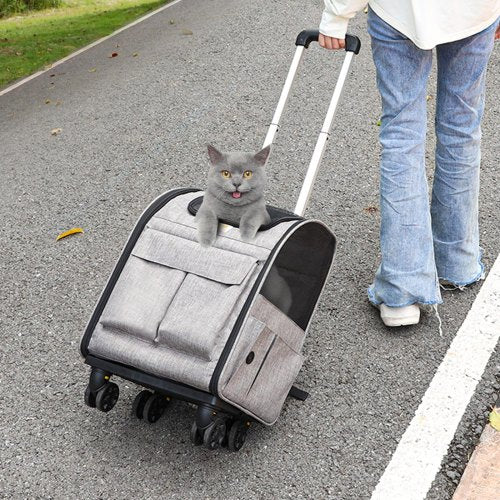 Rolling Pet Carrier Backpack with Removable Wheels for Under 18LBS Large
