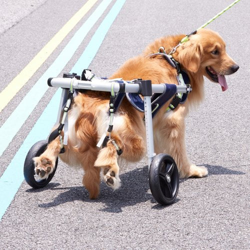 2 Wheels Dog Wheelchair for Back Legs Pet Wheelchair Lightweight