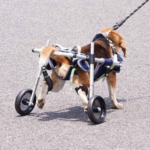 2 Wheels Dog Wheelchair for Back Legs Pet Wheelchair Lightweight