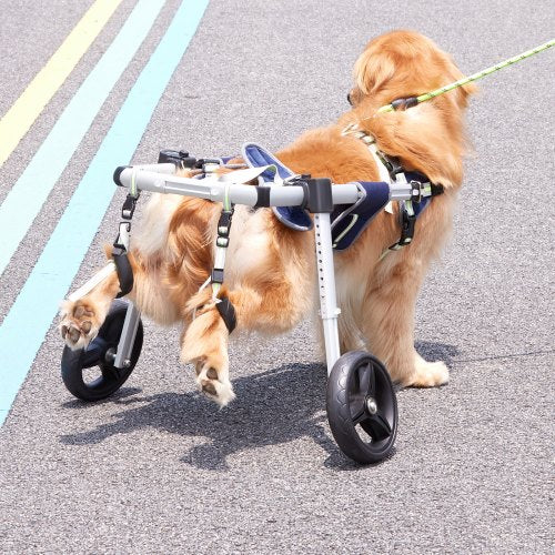 2 Wheels Dog Wheelchair for Back Legs Pet Wheelchair Lightweight