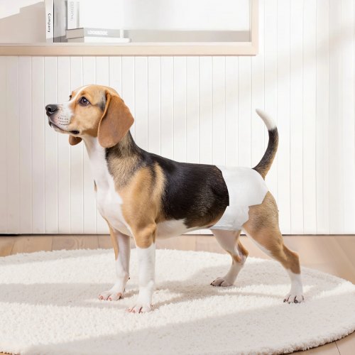 Disposable Dog Diapers Super Absorbent Female Dog Diapers 360° LeakProof