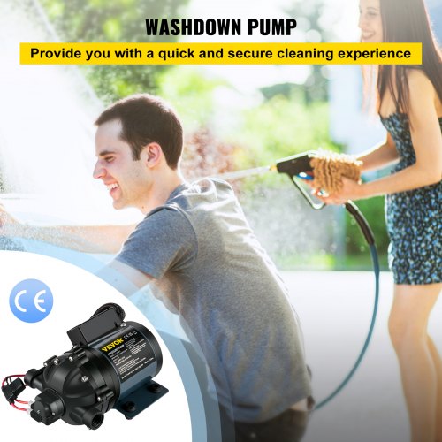 Washdown Pump 12V DC 7 GPM 60 PSI Max 10 FT Lift Self Priming Water
