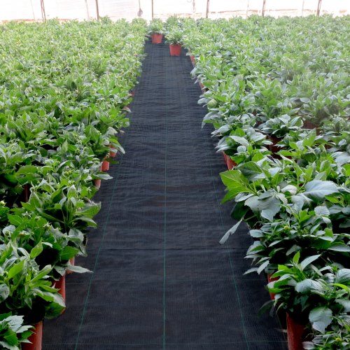Weed Barrier 58oz Landscape Fabric 3ft x 300ft Cover Mat Heavy Duty Woven