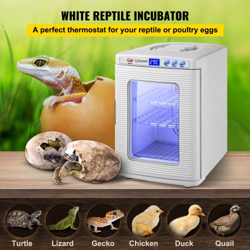 Reptile Incubator 25L Scientific Lab Incubator Cooling and Heating 5 °C to 42