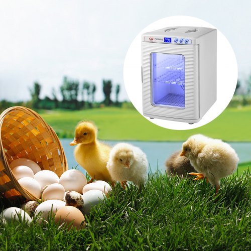 Reptile Incubator 25L Scientific Lab Incubator Cooling and Heating 5 °C to 42