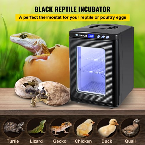 Egg Incubator and Hatcher 25L Black Reptile Egg Incubator 542°C Scientific
