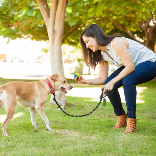 Rope Dog Leash 6ft Heavy Duty Dog Leash with Comfortable Padded Handle