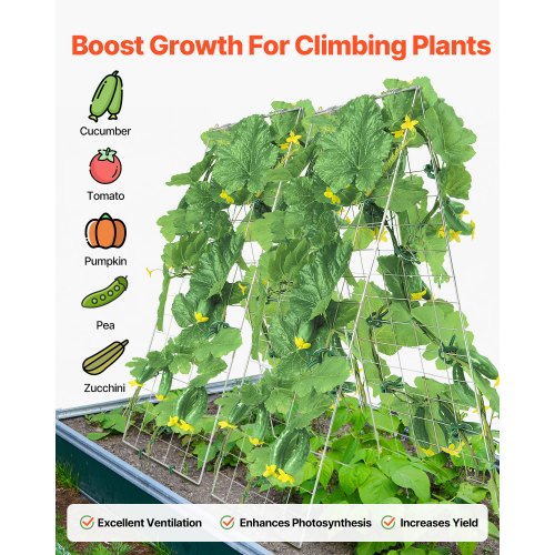 Cucumber Trellis for Climbing Plants 35 x 55 Foldable Cucumber Trellis