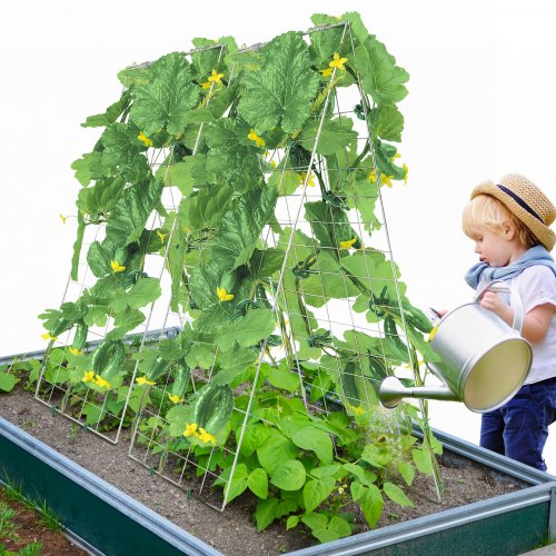 Cucumber Trellis for Climbing Plants 35 x 55 Foldable Cucumber Trellis