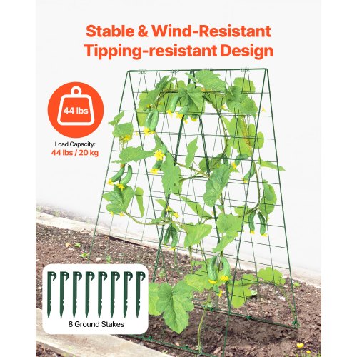 Cucumber Trellis for Climbing Plants 46 x 32 Foldable Cucumber Trellis