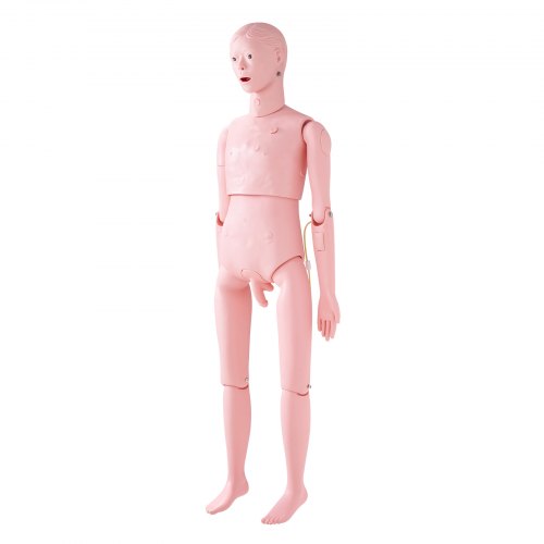 Nursing Training Manikin Male Life Size Demonstration Human Manikin for Nursing