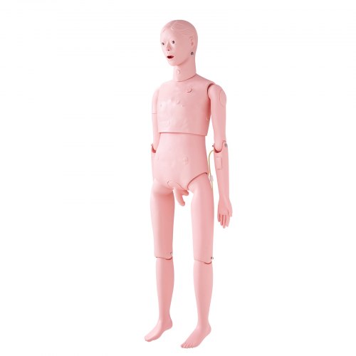 Nursing Training Manikin Male Life Size Demonstration Human Manikin for Nursing