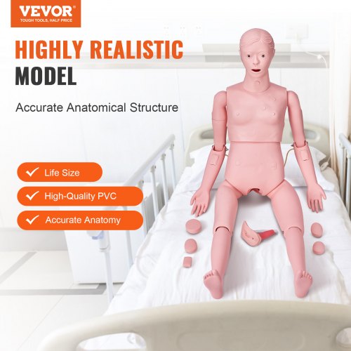 Nursing Training Manikin Female Life Size Demonstration Human For