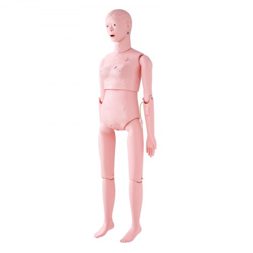 Nursing Training Manikin Female Life Size Demonstration Human For