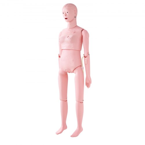 Nursing Training Manikin Female Life Size Demonstration Human For