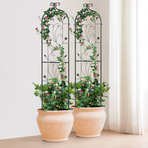 Garden Trellis for Climbing Plants 60 x 15 in 2 Packs Rustproof Metal