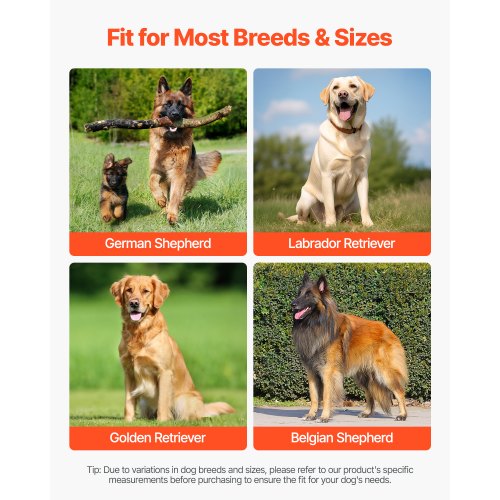 Dog Knee Brace for Torn ACL Dog Leg Brace with Adjustable Hinge Stabilizer
