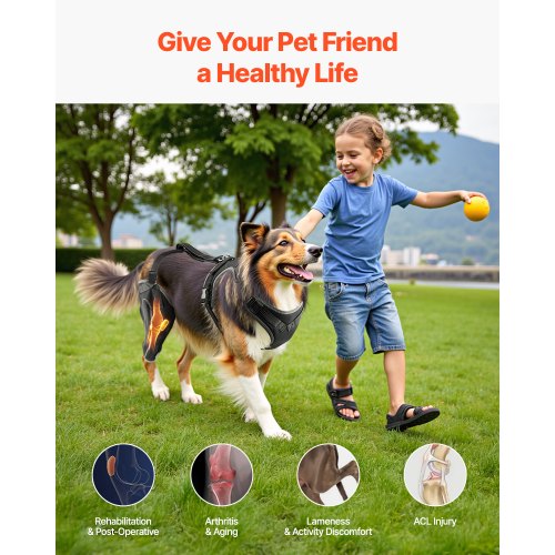 Dog Knee Brace for Torn ACL Dog Leg Brace with Adjustable Hinge Stabilizer
