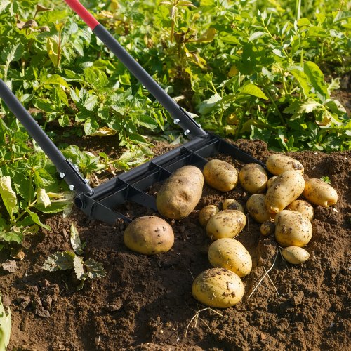 Broad Fork 5Tine Pitchfork with Dual Fiberglass Handles Heavy Duty Garden