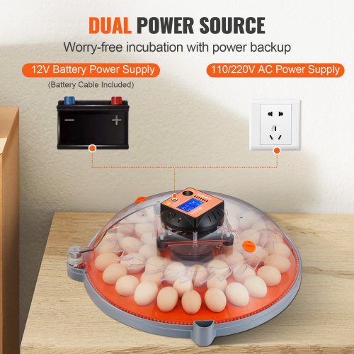 48 Egg Incubator Incubators for Hatching Eggs 360° Automatic Egg Turner