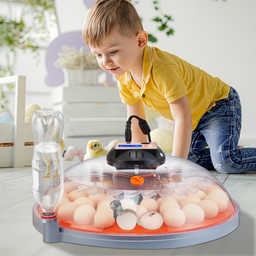 48 Egg Incubator Incubators for Hatching Eggs 360° Automatic Egg Turner