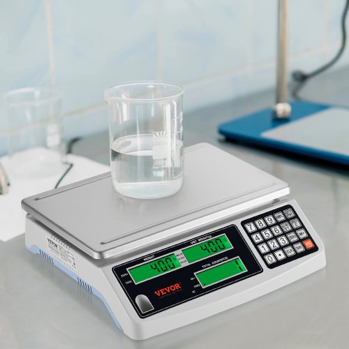 Industrial Counting Scale 30 kg x 1 g Digital Scale for Parts and Coins