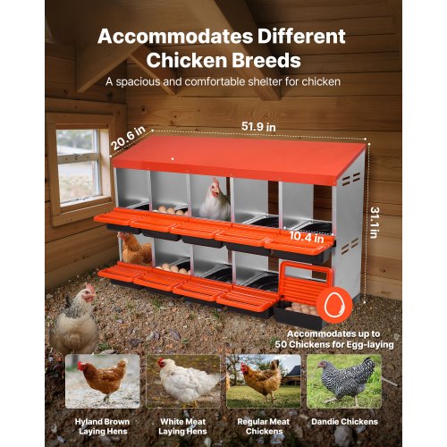 2 Tiers Chicken Nesting Boxes 10 Compartments Metal Egg Laying With Protective