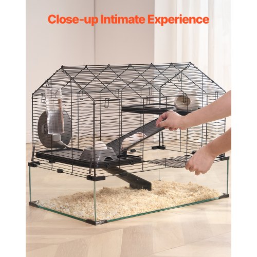 Hamster Cage 360° Viewing Transparent Hamster Habitats Small Animal Cage