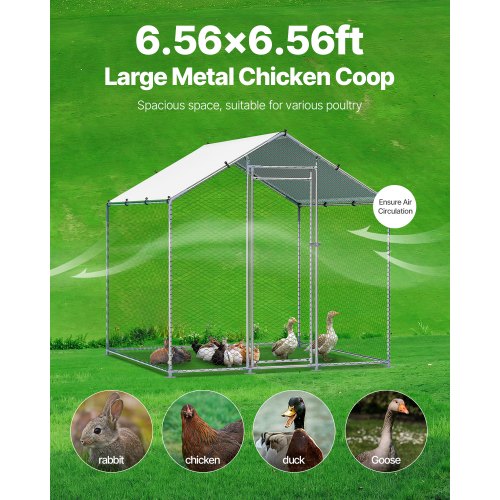 Metal Chicken Coop 656x656x656ft Large Walkin Chicken Runs with Cover