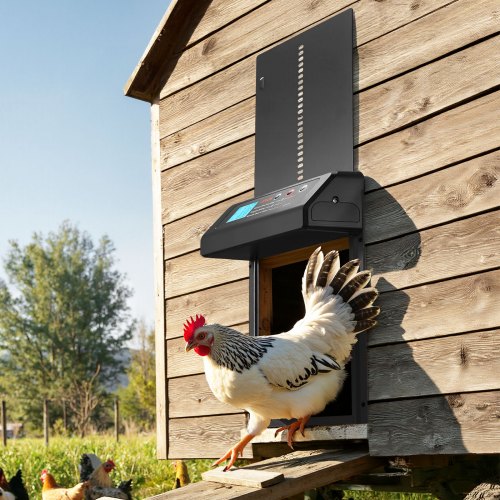 Automatic Chicken Coop Door Battery Powered Chicken Coop Door with Timer 1