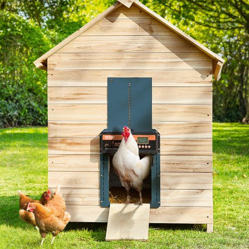 Automatic Chicken Coop Door Auto Chicken Door Opener with Timer Light