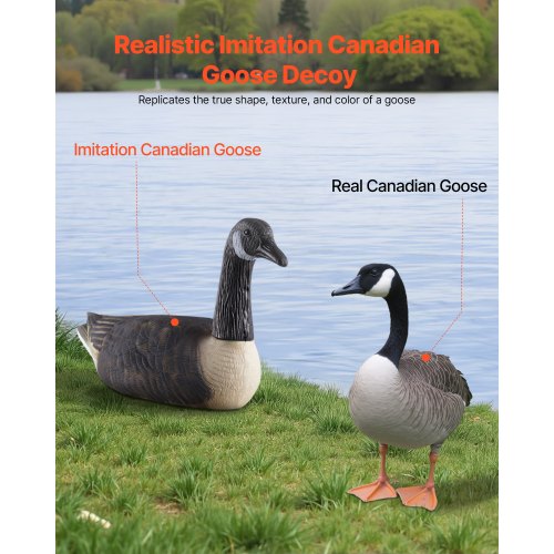 Canada Goose Decoys Outdoors Goose Decoy for Waterfowl Hunting Durable