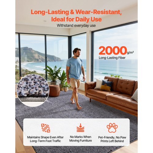 Indoor Plush Area Rugs 8 X 10 Ft Carpet Furry With Long Plushs Pile Thick