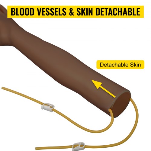 Phlebotomy Practice Kit Dark Skin IV Practice Kit Venipuncture Learning