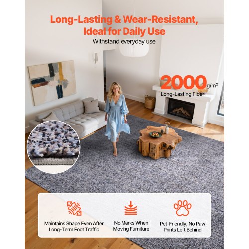Indoor Plush Area Rugs 9 X 12 Ft Carpet Furry With Long Plushs Pile Thick