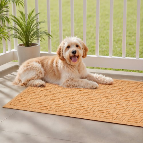 Door Mat 29.53 x 17.72 Inch Front Door Mat Outside Entrance with Nonslip