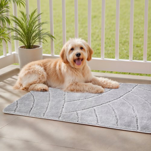 Door Mat 35.83 x 24.02 Inch Front Door Mat Outside Entrance with Nonslip