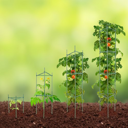 6 Packs Tomato Cages for Garden 48 inch Tomato Trellis Plant Stakes