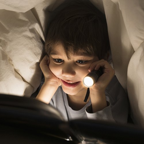 LED Flashlight Bulbs P135S 412 Volt 230LM Flashlight Conversion