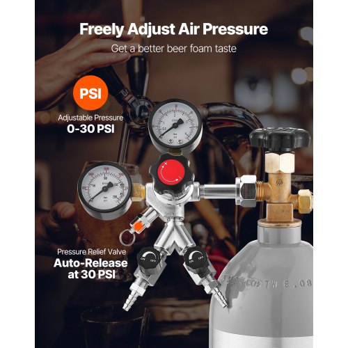 CO2 Regulator DualGauge DualValve Beer Keg Regulator60 PSI Adjustable