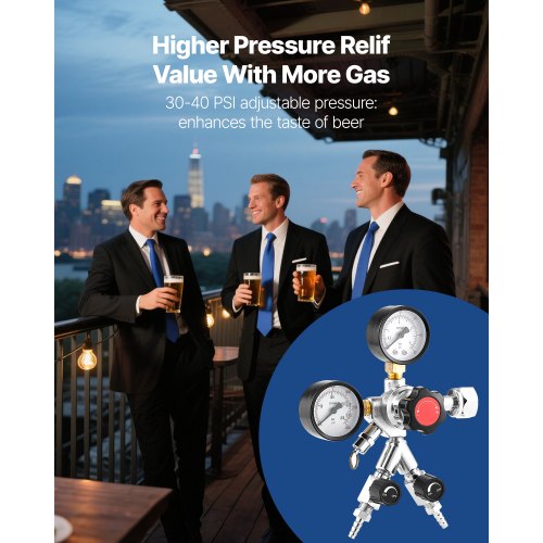 CO2 Regulator DualGauge DualValve Beer Keg Regulator60 PSI Adjustable